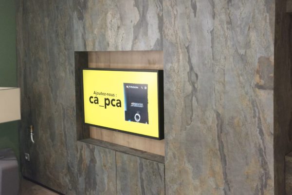 feuille-pierre-naturelle-mural-mica-goa-mur-salon-agence-bancaire-stoneleaf-600x800